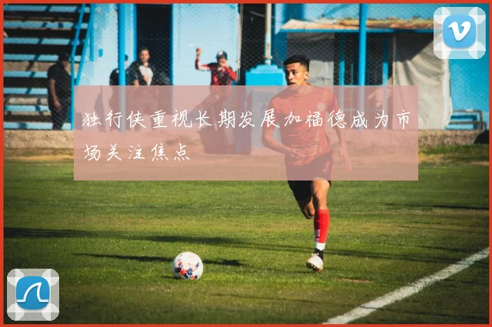 独行侠重视长期发展加福德成为市场关注焦点