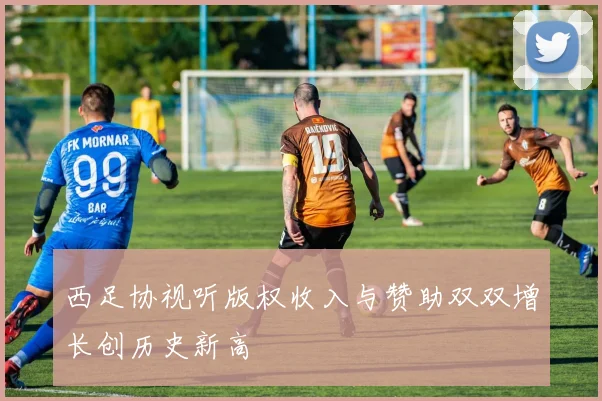 西足协视听版权收入与赞助双双增长创历史新高